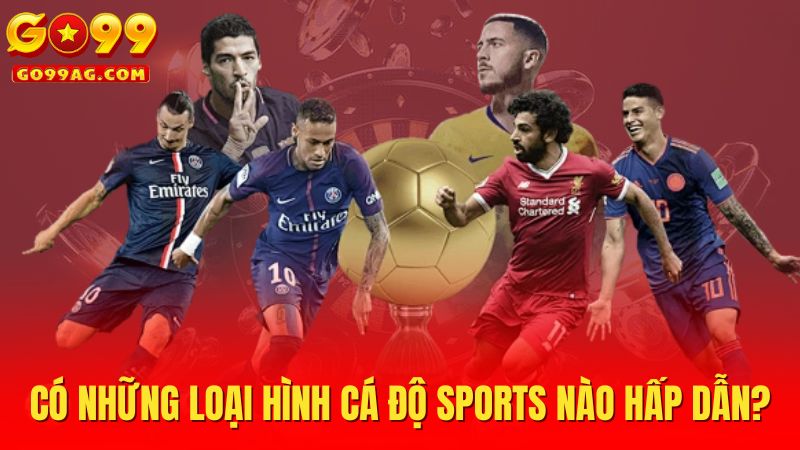 Có những loại hình cá độ sports nào hấp dẫn?